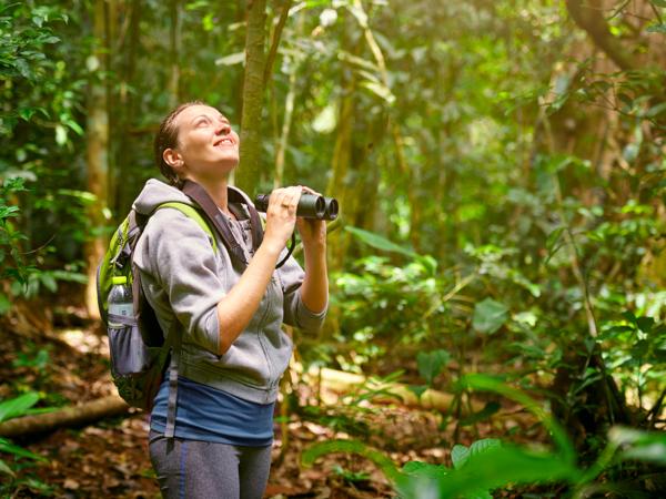 Birdwatching in the Jungle