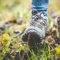 Hiking Boots