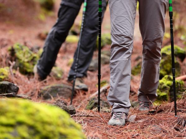 Hikers on mountain trail