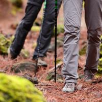 Hikers on mountain trail