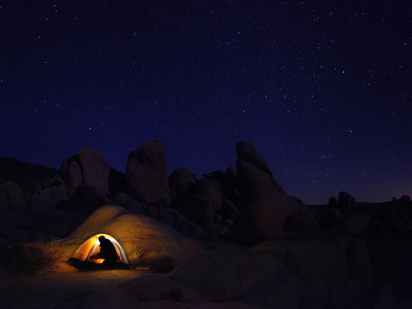 Joshua Tree Night Camping