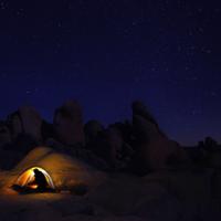 Joshua Tree Night Camping