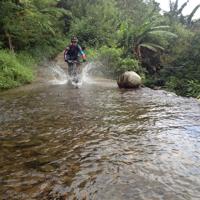 Mountain biking in rainforest