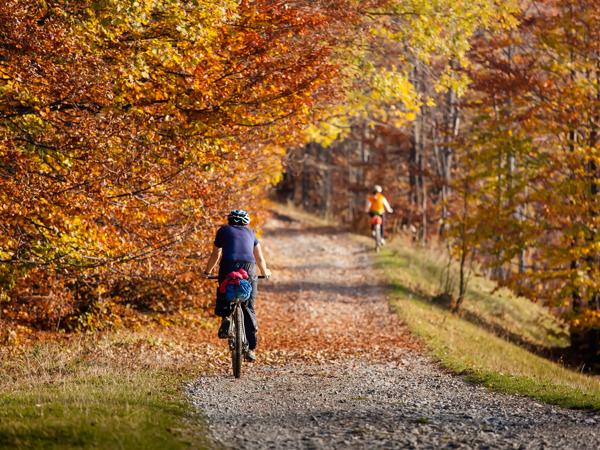 Autumn Mountain Biking