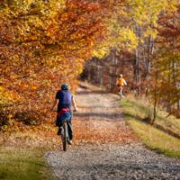 Autumn Mountain Biking