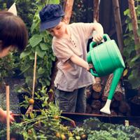 School students gardening