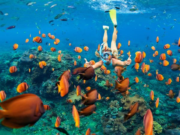 Girl snorkeling with fish