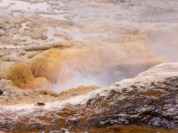 Yellowstone National Park autumn